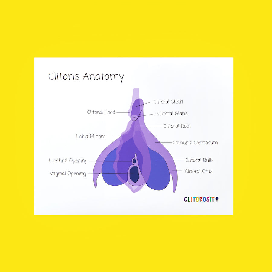Anatomy Print