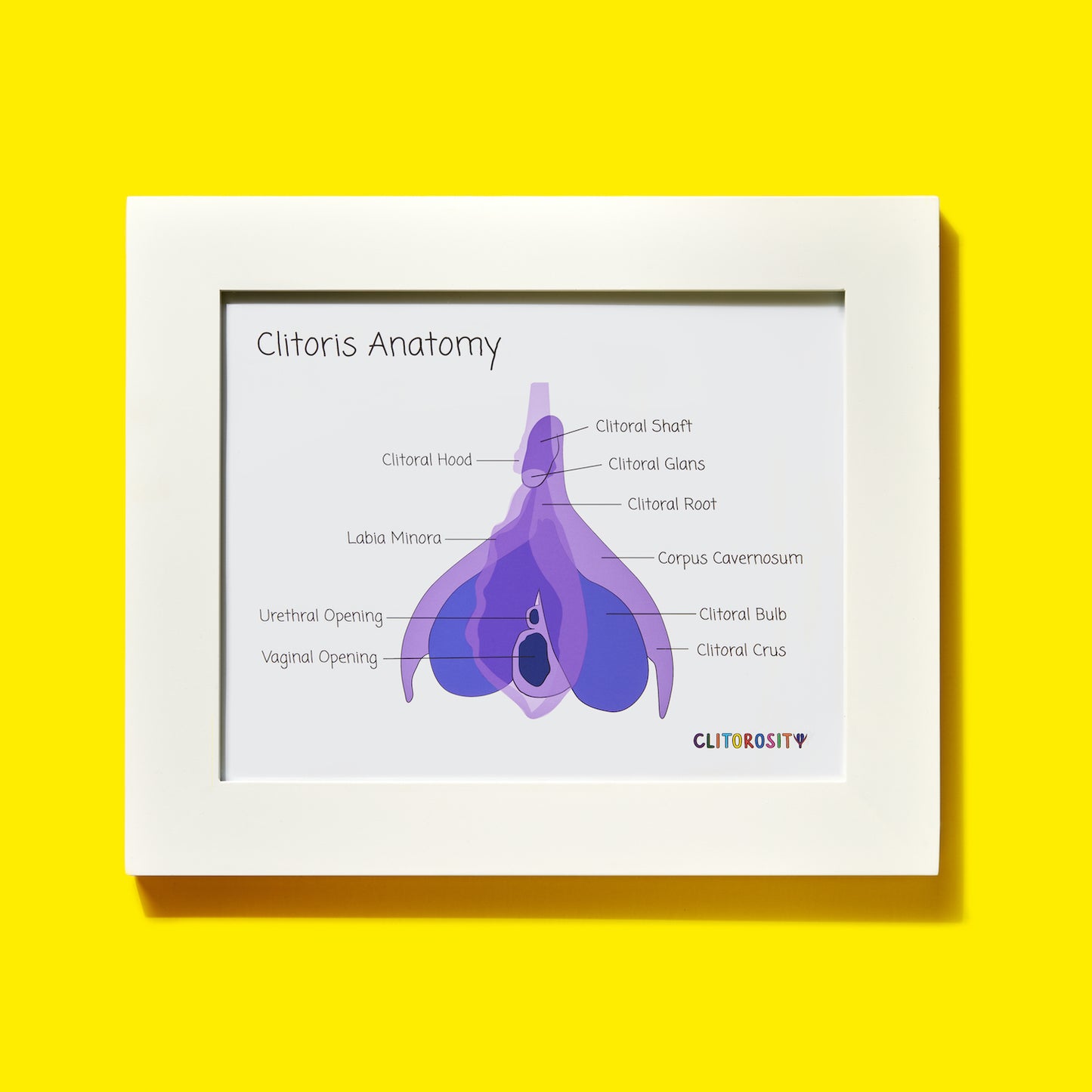 Anatomy Print