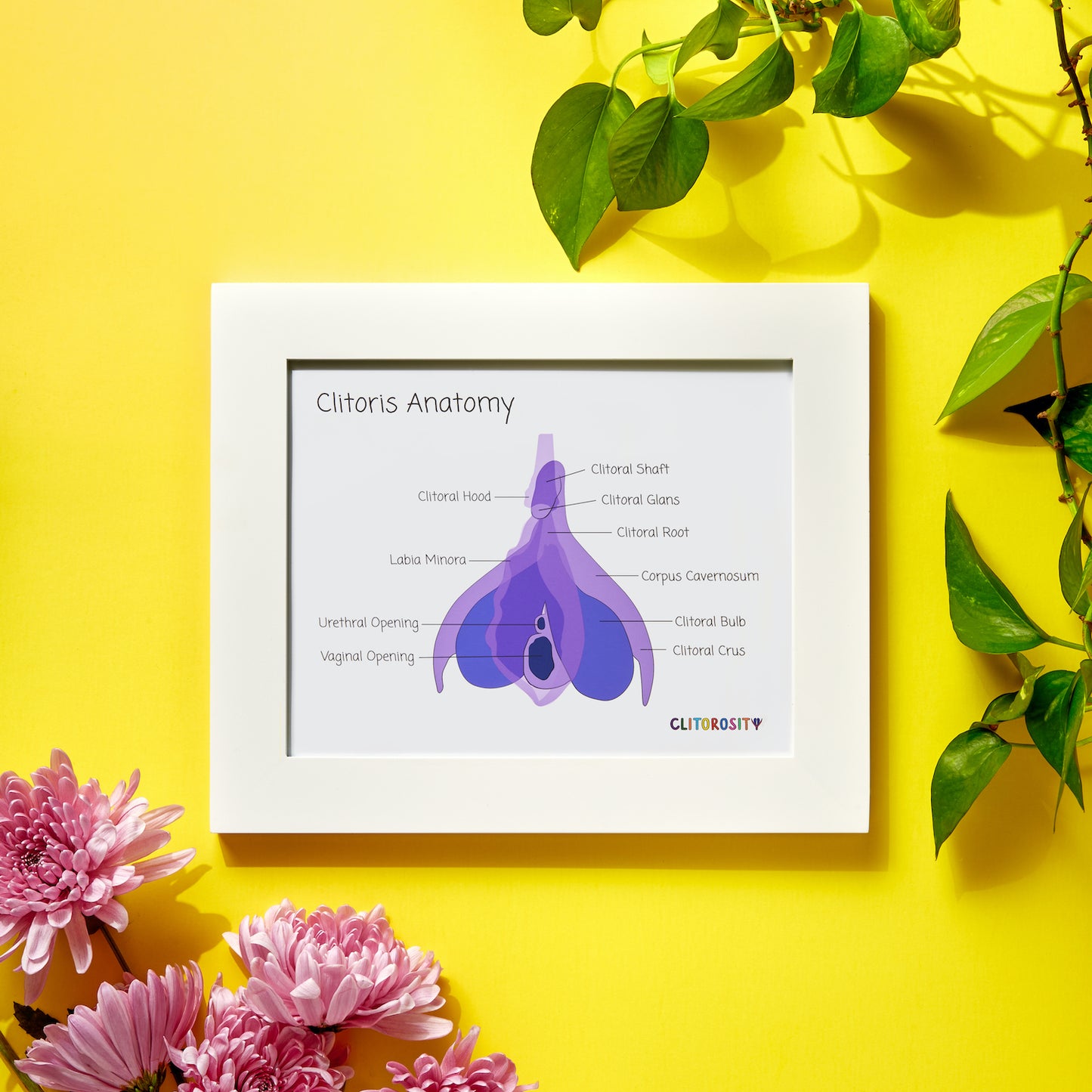 Anatomy Print